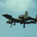 A-10_Thunderbolt_II_DSC_3084.jpg