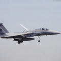 F-15A_Strike_Eagle_DSC_2997.jpg
